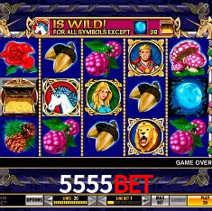 Descubra o Mundo do Cassino Online com 5555bet